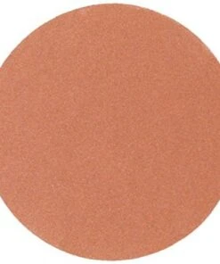 Porter-Cable 725002225 5-Inch PSA Aluminum Oxide 220G Sanding Discs, 25-Pack